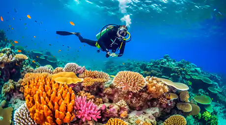 الوجهات السياحية داخل الغردقه