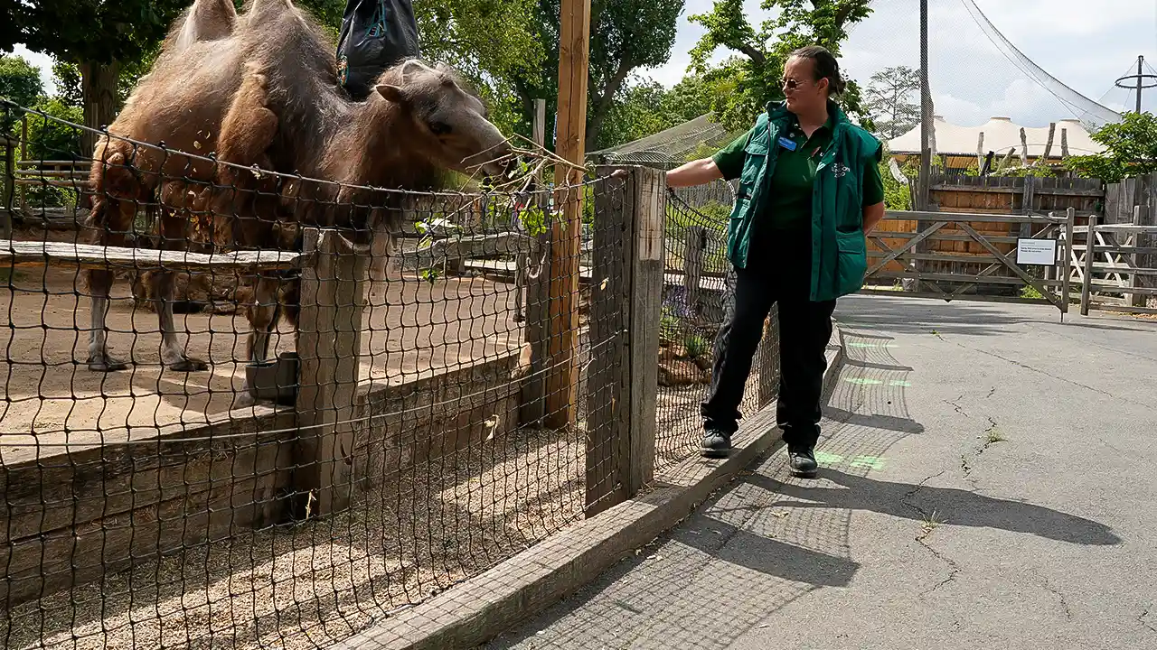 LONDON ZOO