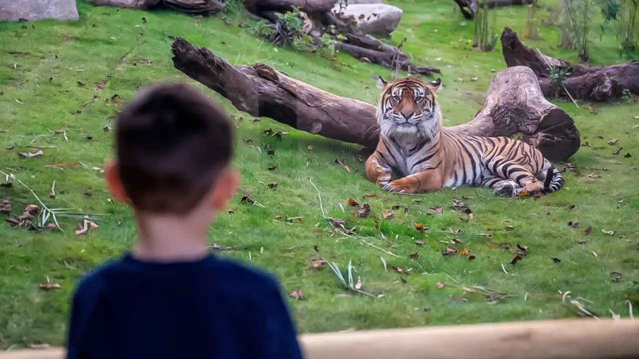 West Midland Safari Park.