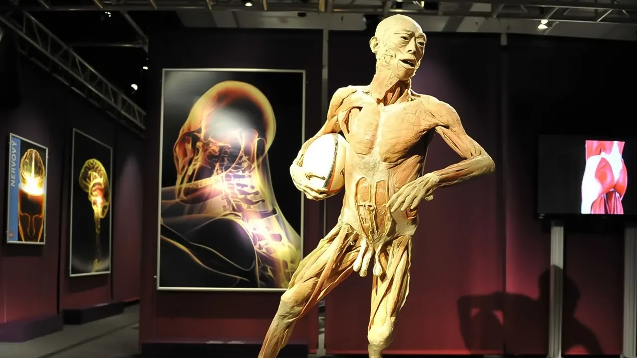 Body Worlds