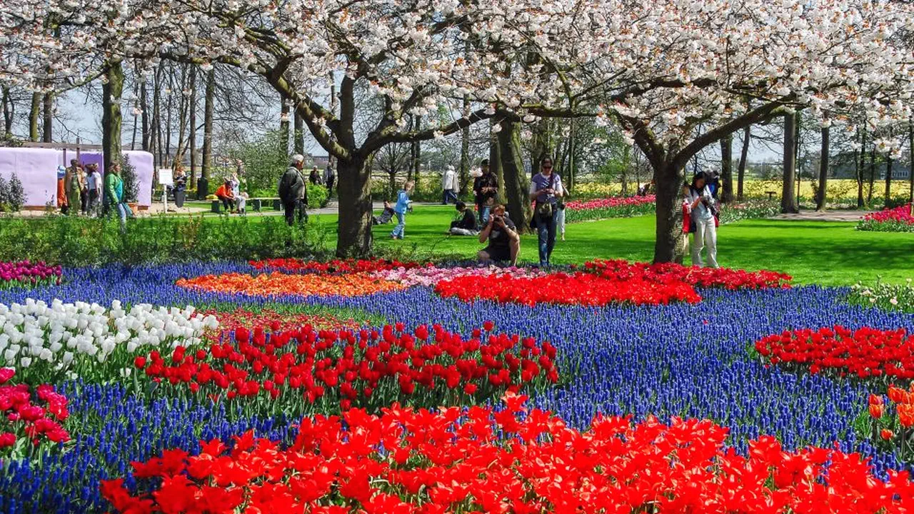 Keukenhof Entry and Shuttle Bus