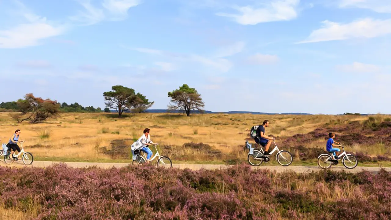 Kröller Müller & N.P. The Hoge Veluwe