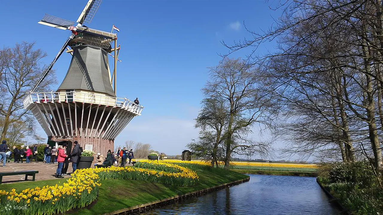 Tulip Tour Keukenhof & City Tour Delft