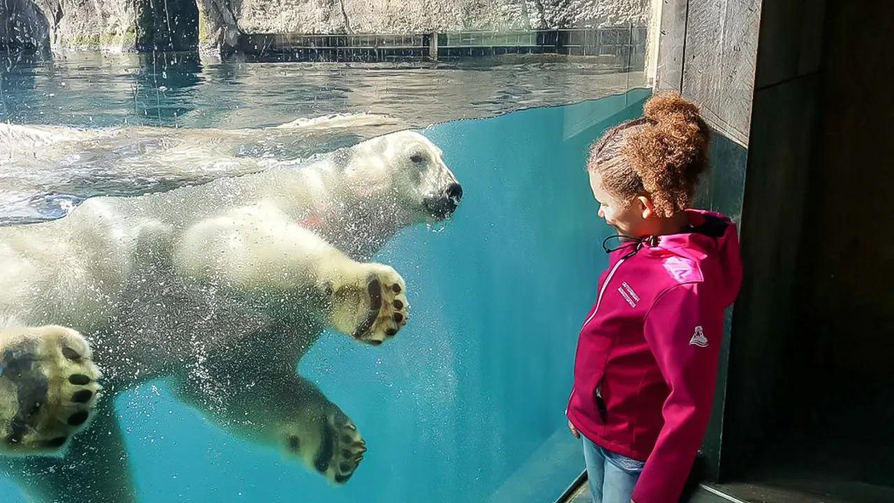 Rotterdam Zoo Blijdorp