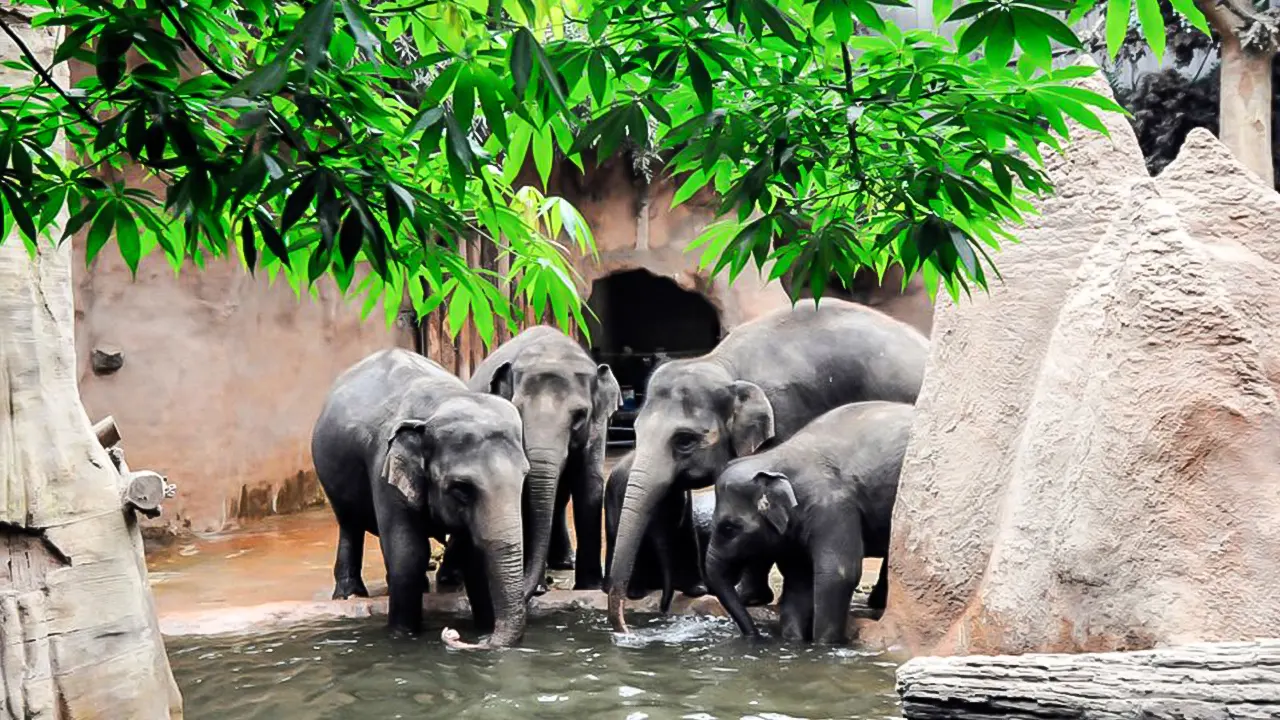 Rotterdam Zoo Blijdorp