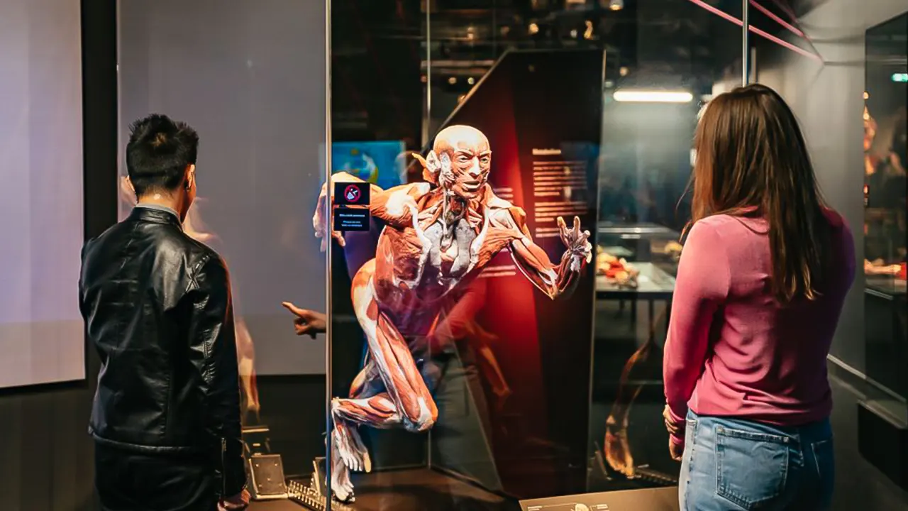 Body worlds museum