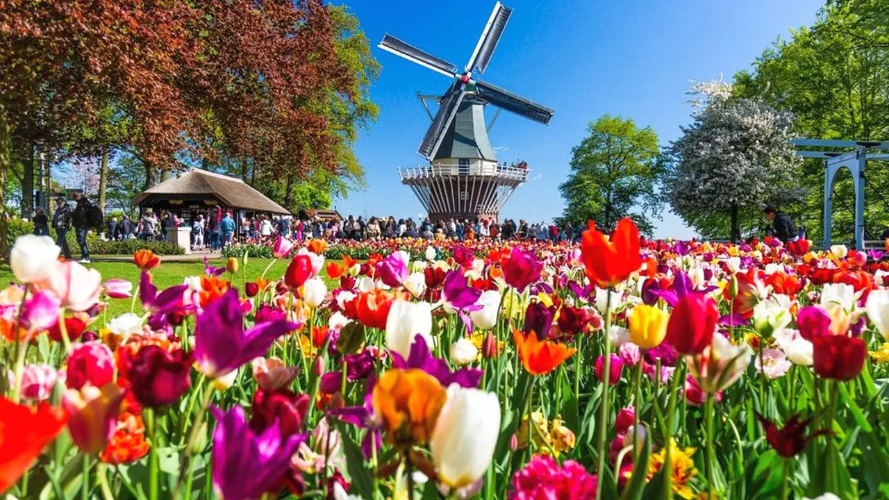 Keukenhof Entry and Shuttle Bus