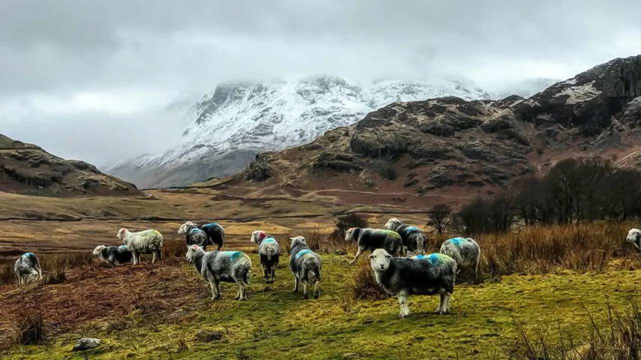 Lake District