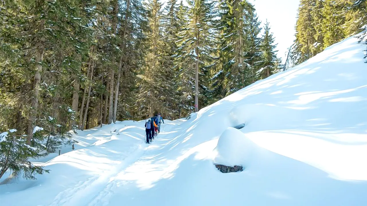 Wetterhorn trail snowshoeing tour