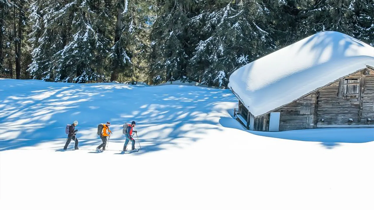 Wetterhorn trail snowshoeing tour