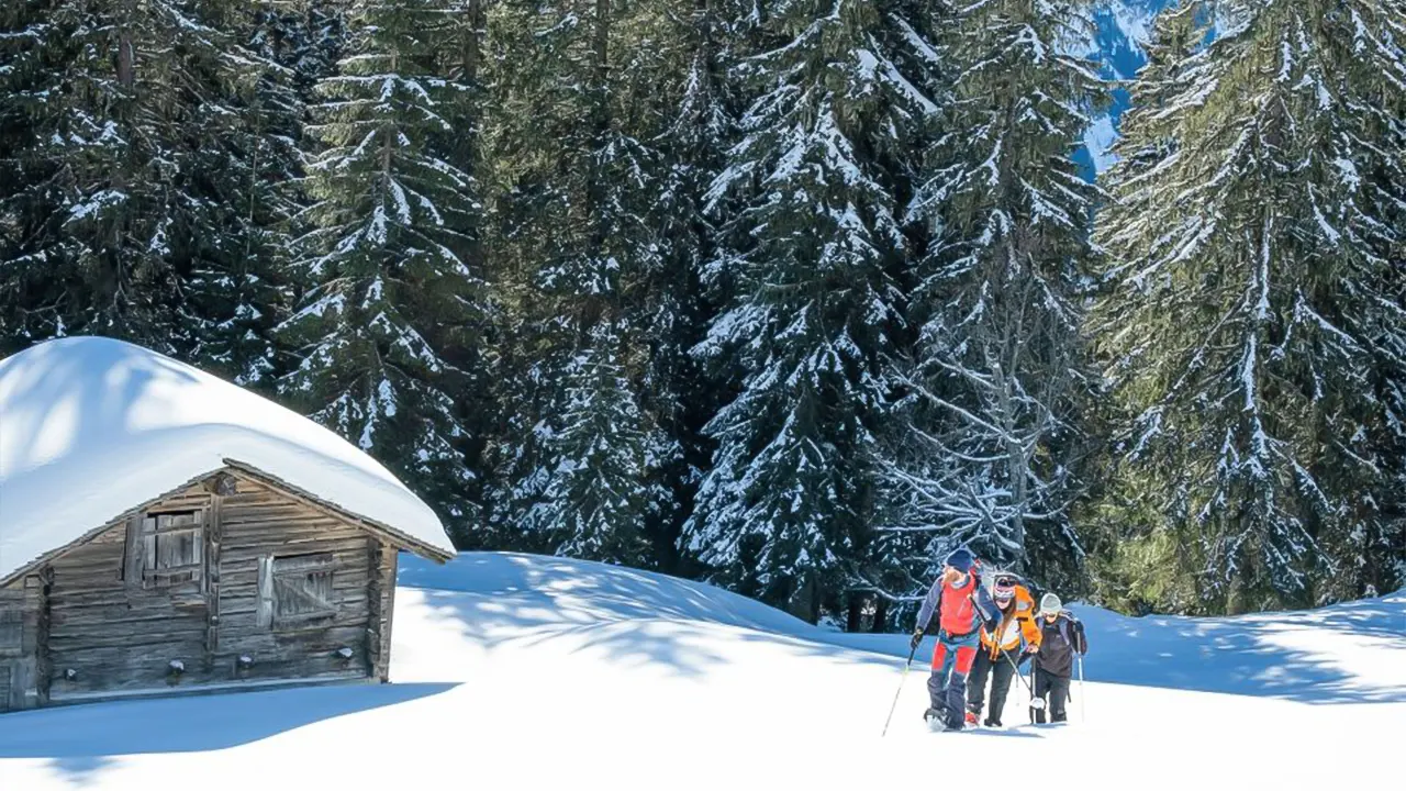 Wetterhorn trail snowshoeing tour