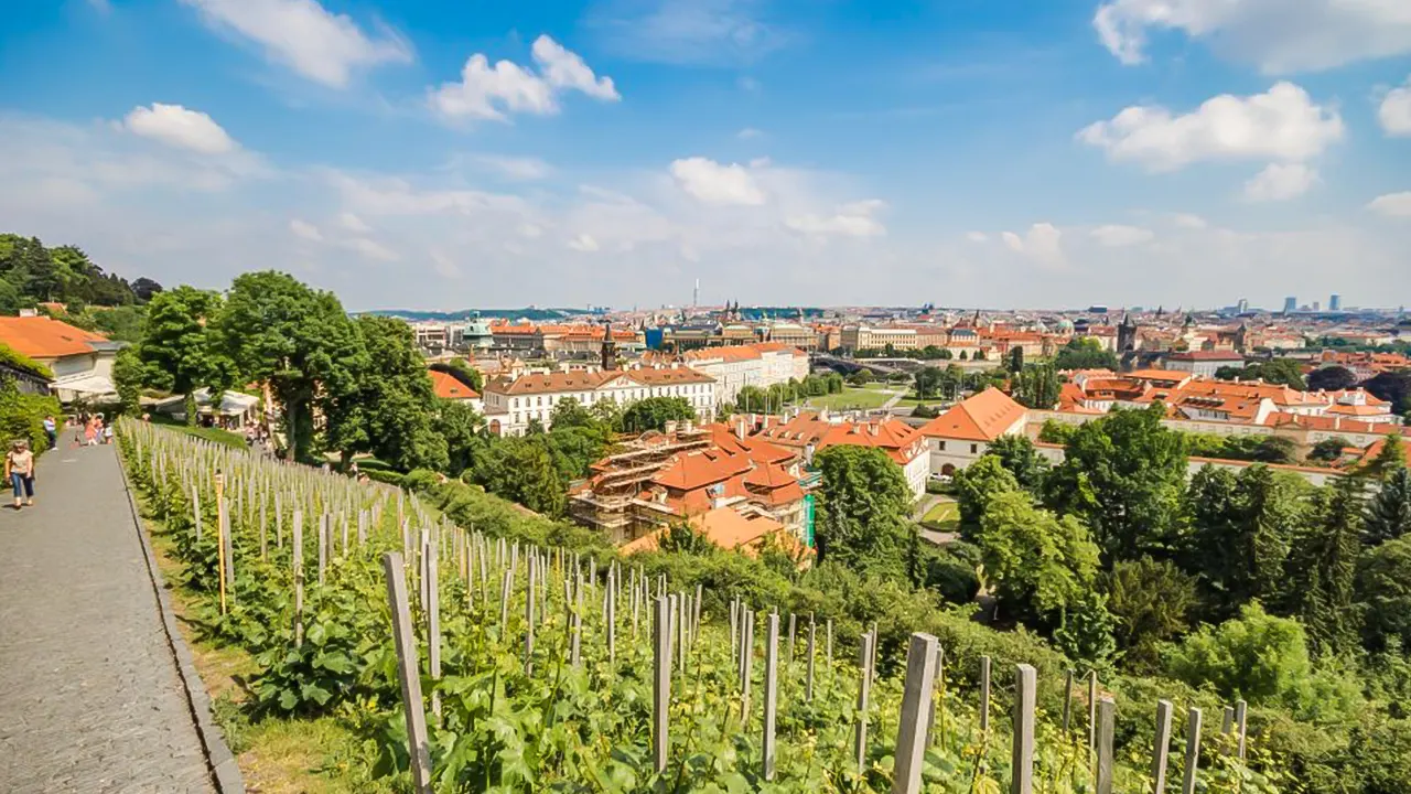 Prague Castle Tour