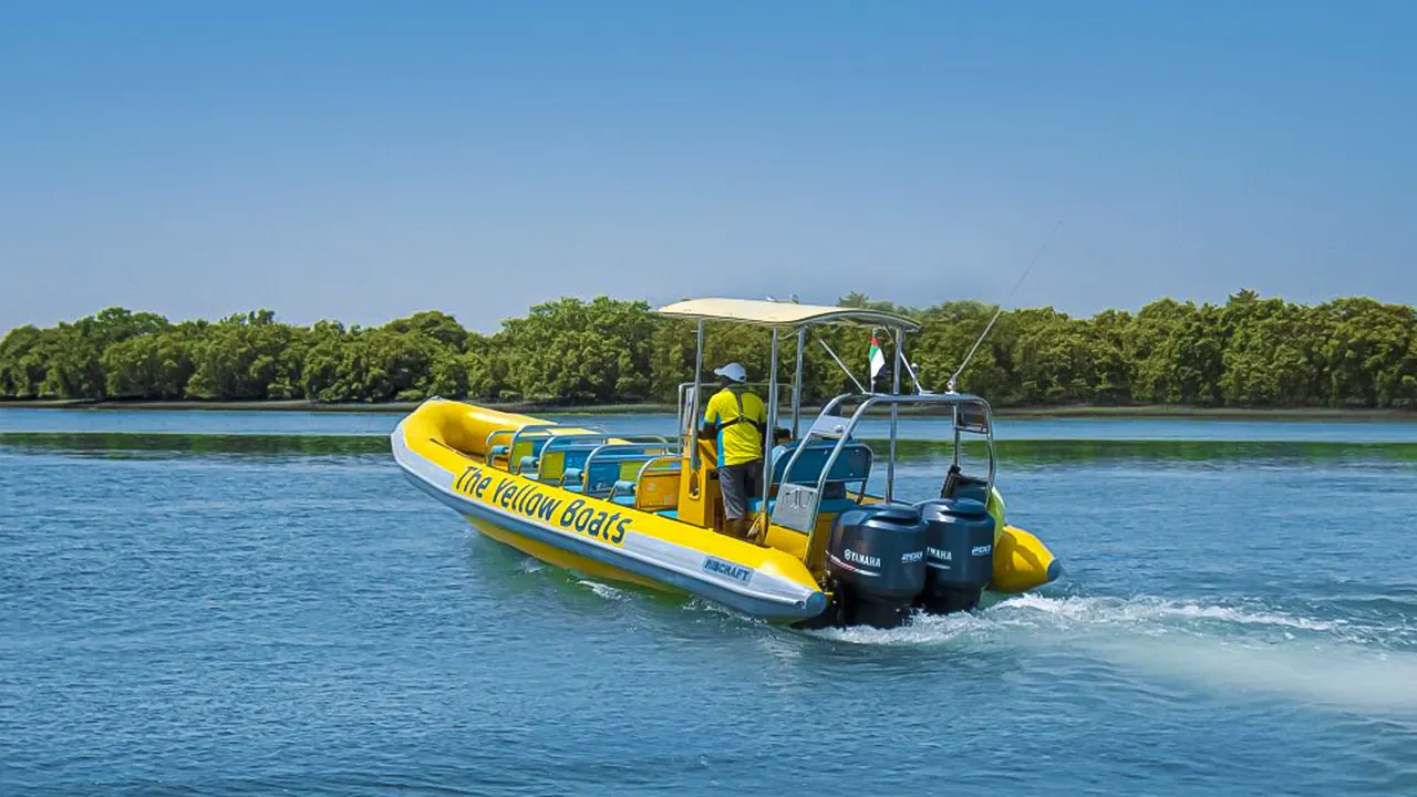 Guided Speedboat Sightseeing Tour