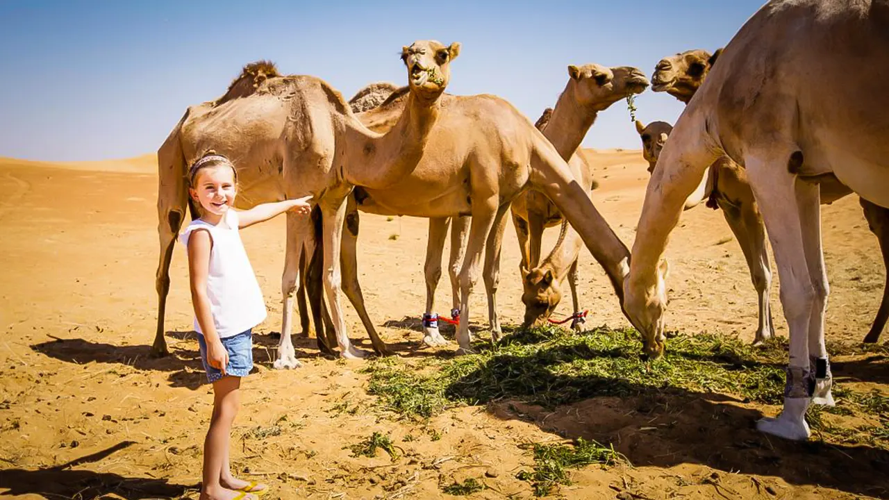 جولة صحراوية صباحية بالأنشطة