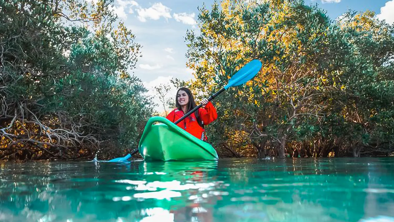 Kayak tour of the mangroves