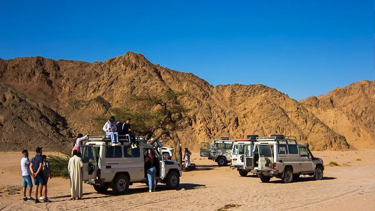 جولة 4x4 ، كانيون ، جمل ، وغوص