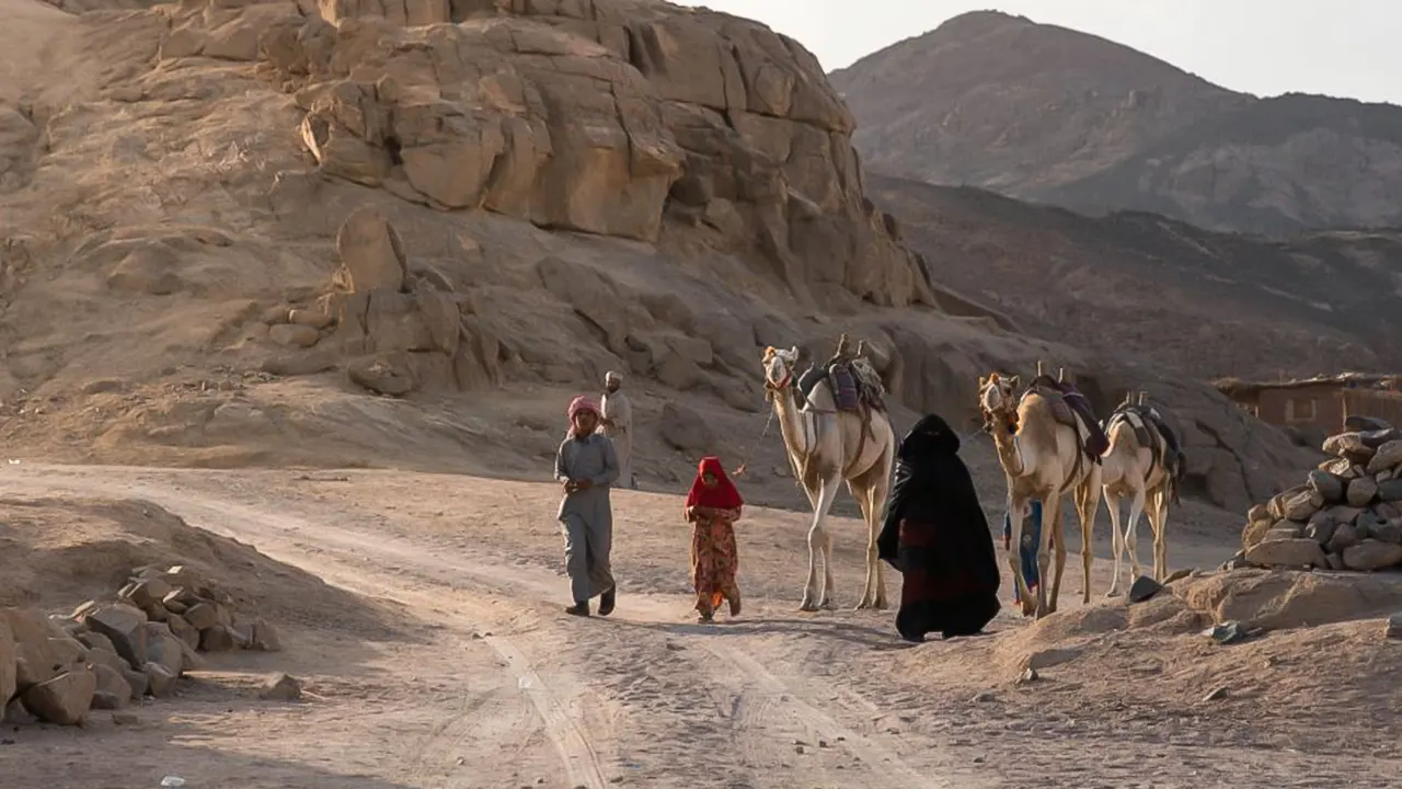 Jeep, camel and Safari buggy rides with BBQ dinner