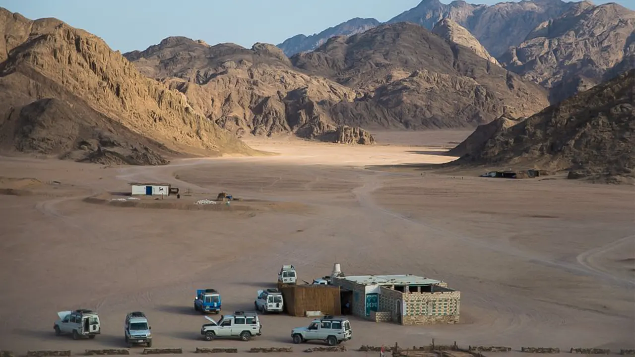 Jeep, camel and Safari buggy rides with BBQ dinner