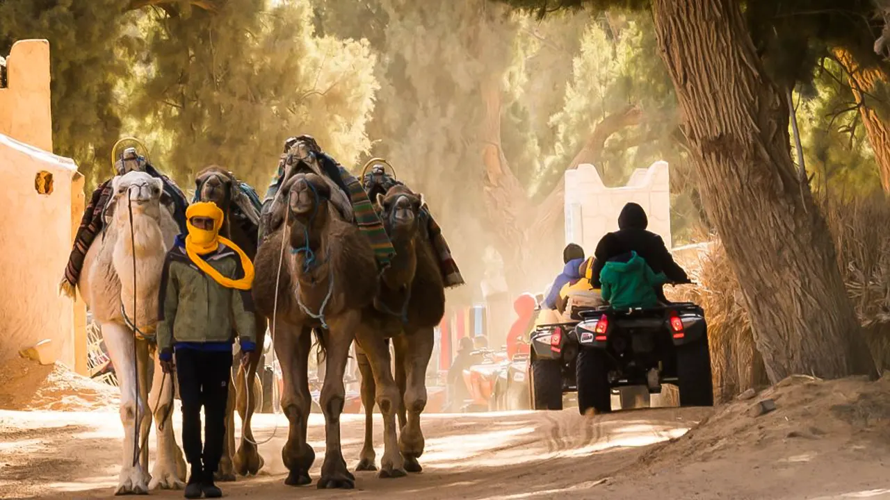 جولة جيب 4 * 4 ، ركوب الجمال ، الجم