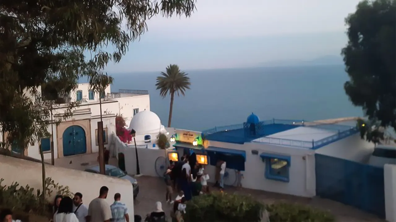 Bardo museum, sidi bou said, medina