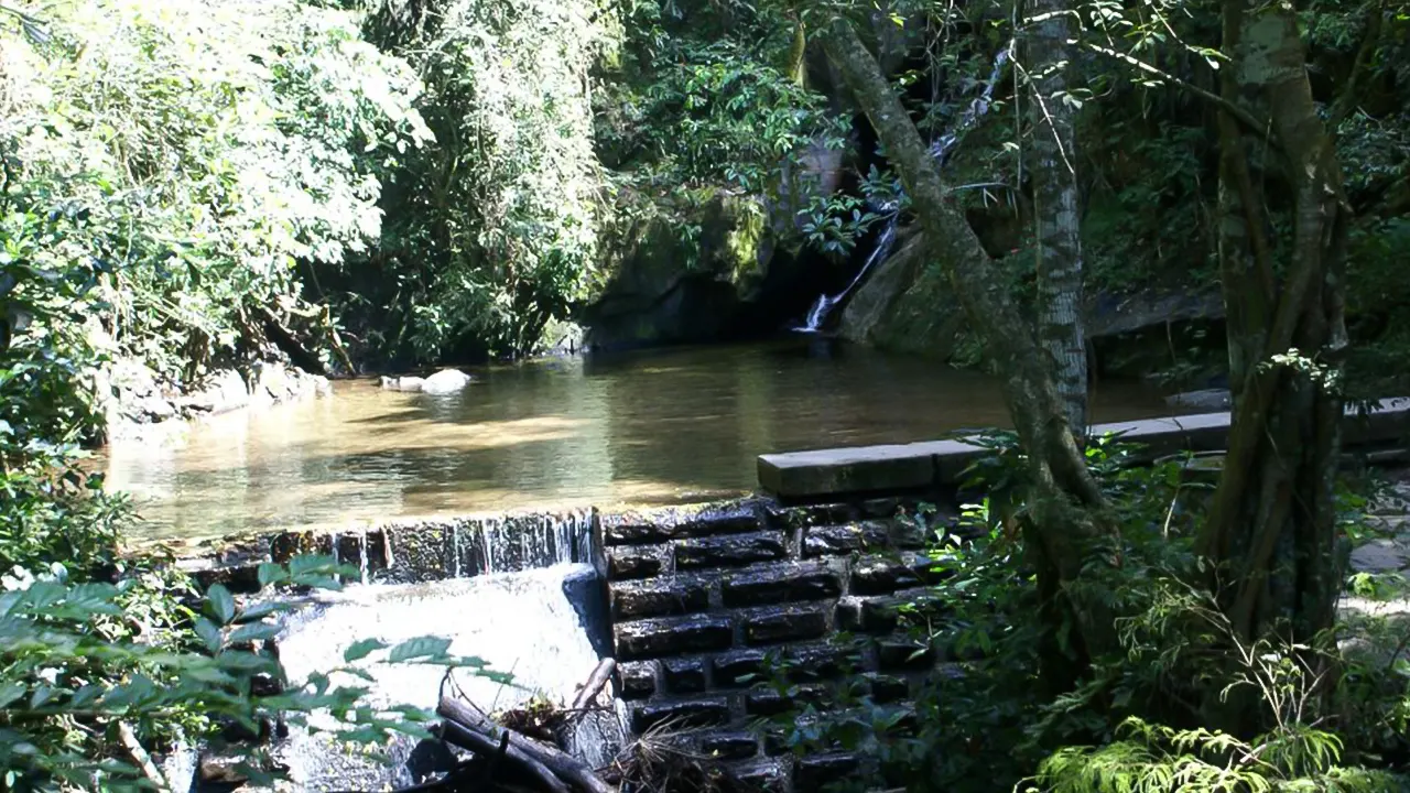 Tijuca Rain Forest Tour by Jeep