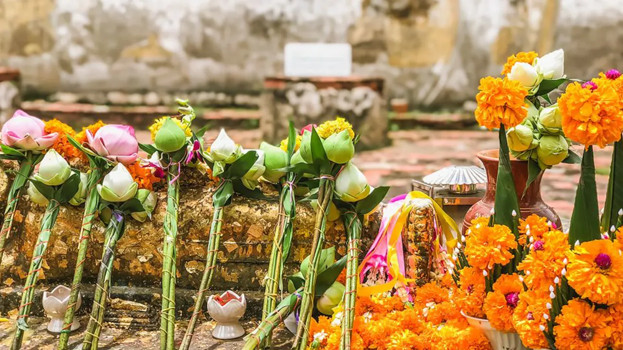 Ayutthaya temples with lunch