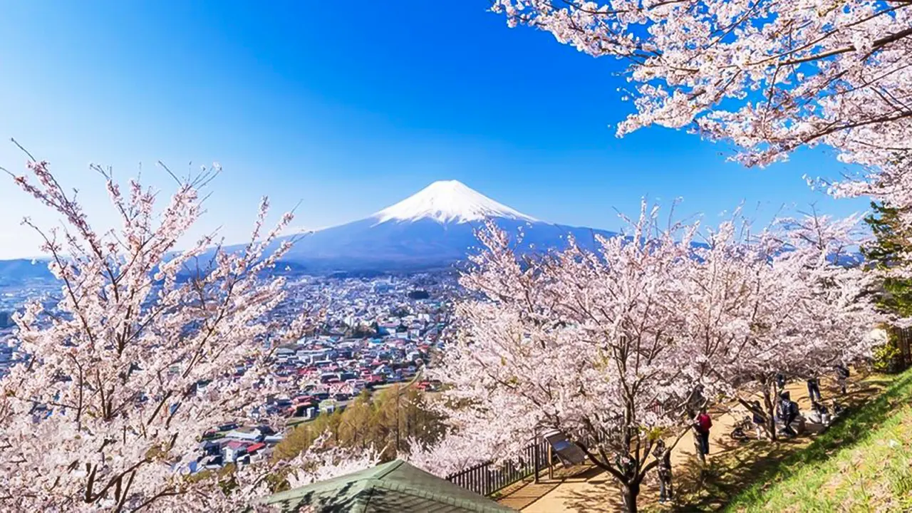 Mt.Fuji Area, Oshino Hakkai & Kawaguchi Lake Day Trip