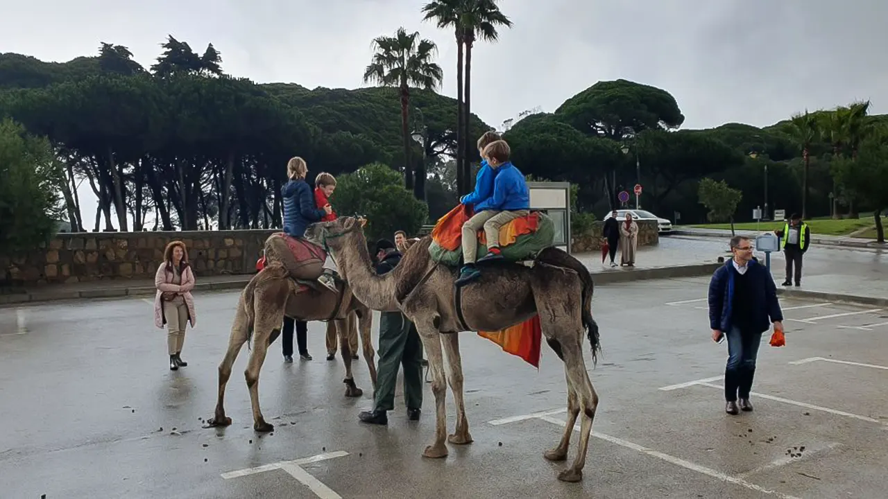 Tangier Day Tour with Bazaar Shopping and Lunch