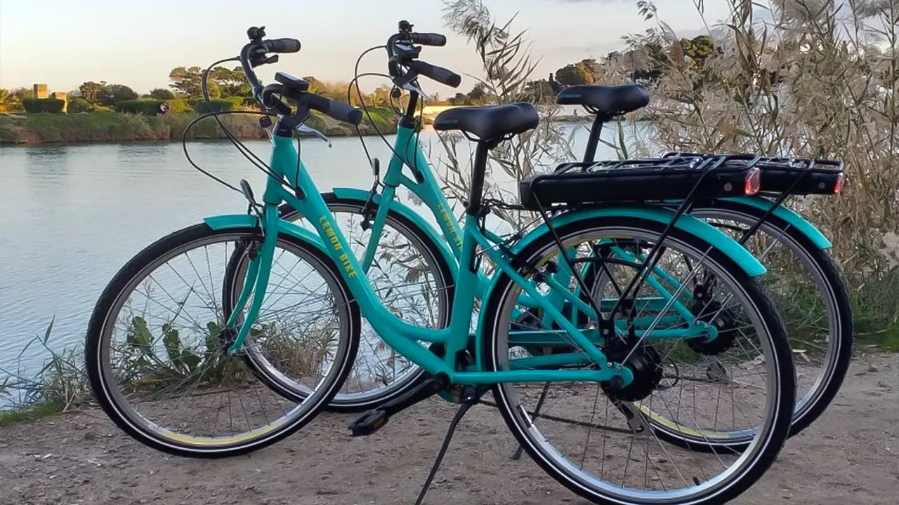 Guided bike tour of archaeological sites