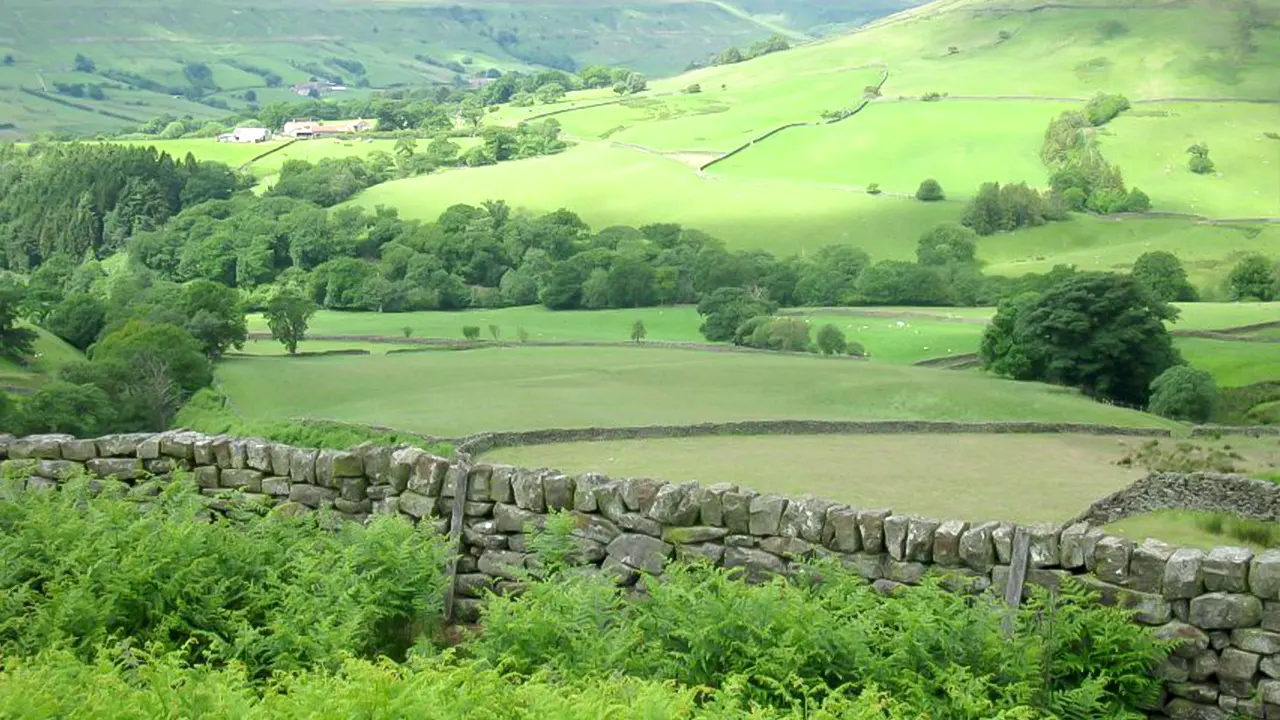 Full-Day Yorkshire Dales Tour