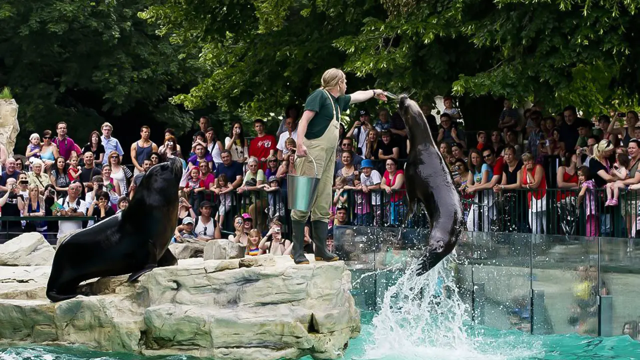 Schönbrunn Zoo