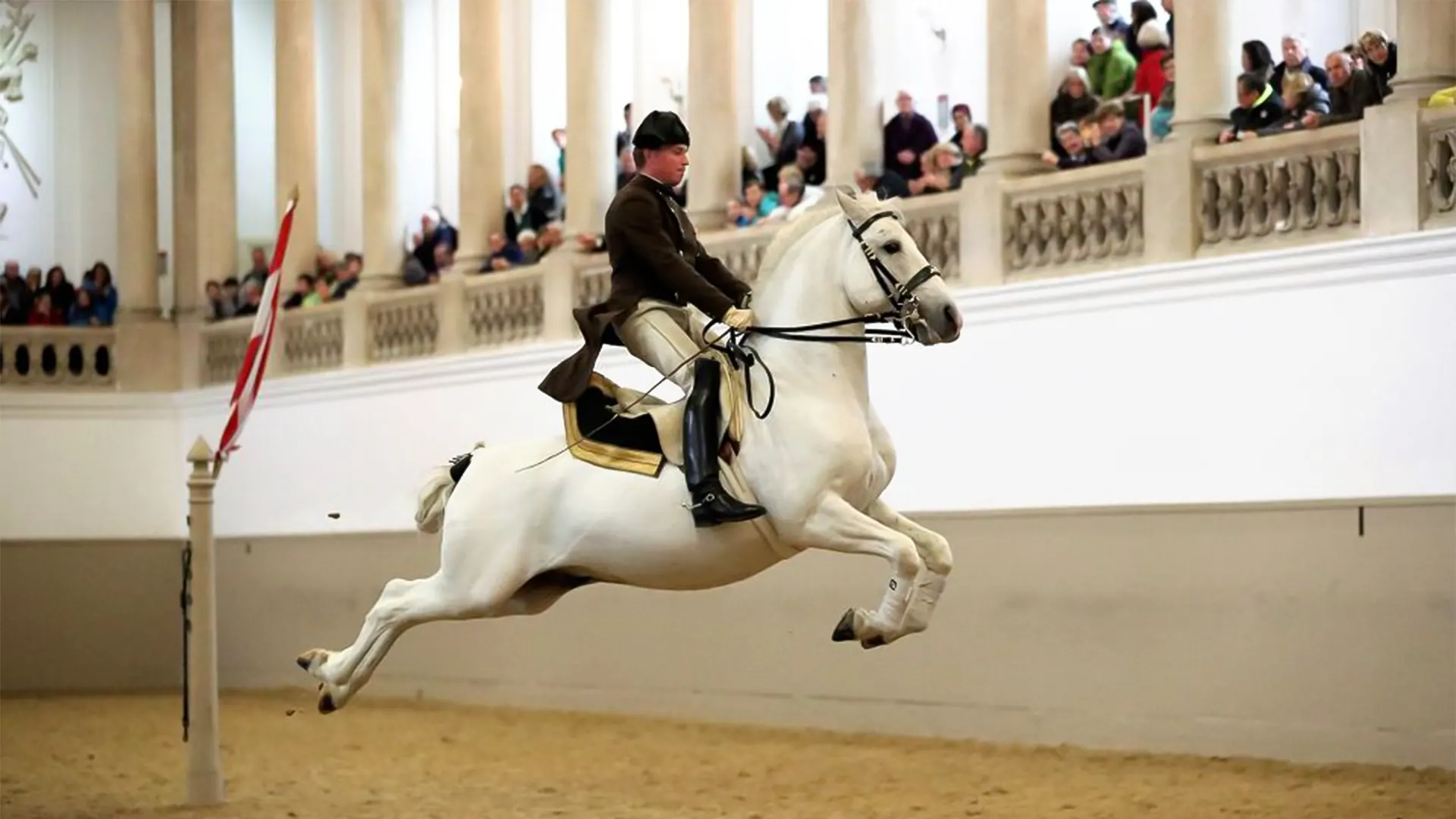 Performance Of The Lipizzans At Spanish Riding School